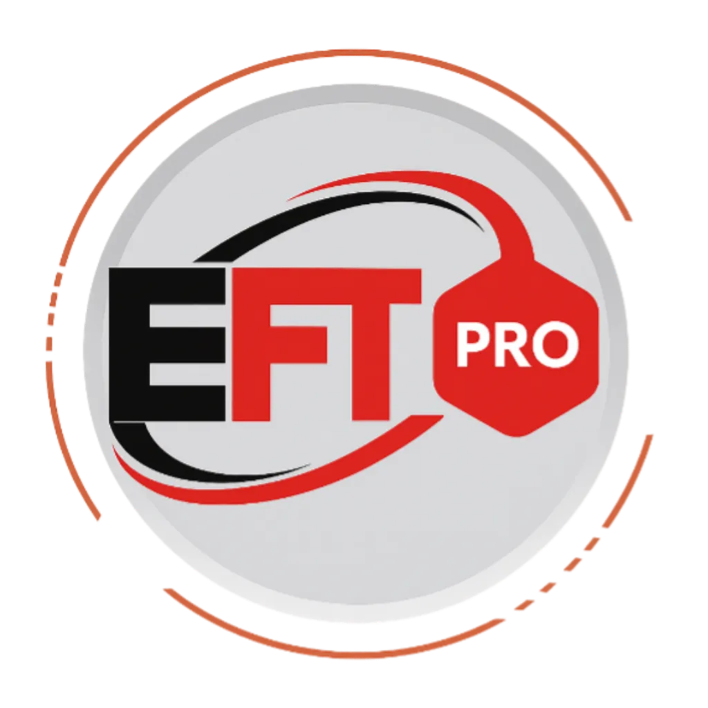 EFT Pro Tool Activation 1 Year New Activation No Need Dongle Digital License