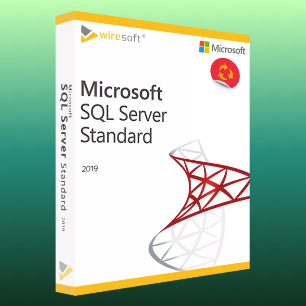 Microsoft SQL Server 2019 Standard - 1 PC (Lifetime)
