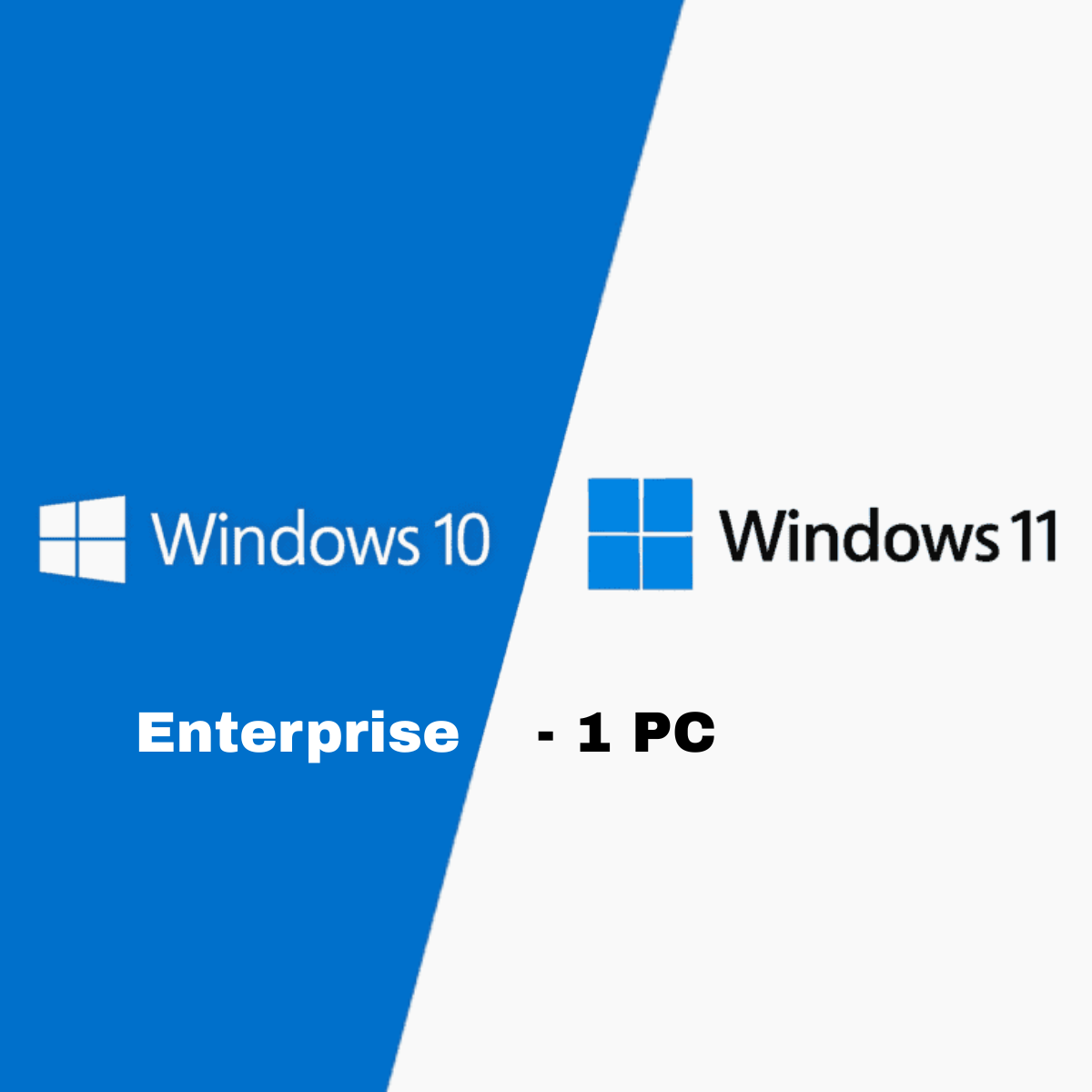 Microsoft Windows 10 / 11 Enterprise - 1 PC (Lifetime)