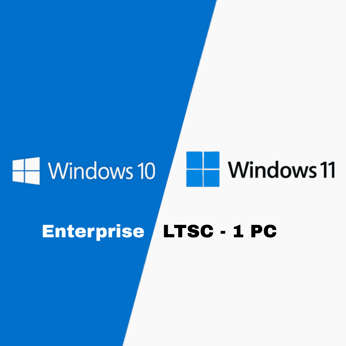 Microsoft Windows 10 / 11 Enterprise LTSC - 1 PC (Lifetime)