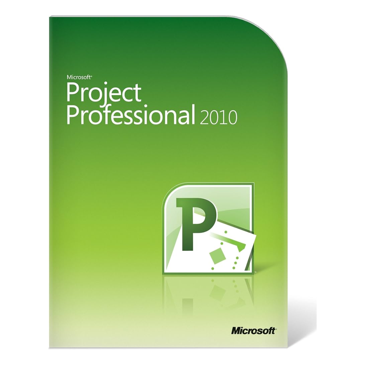 Microsoft Project 2010 Professional 1 PC (Lifetime)